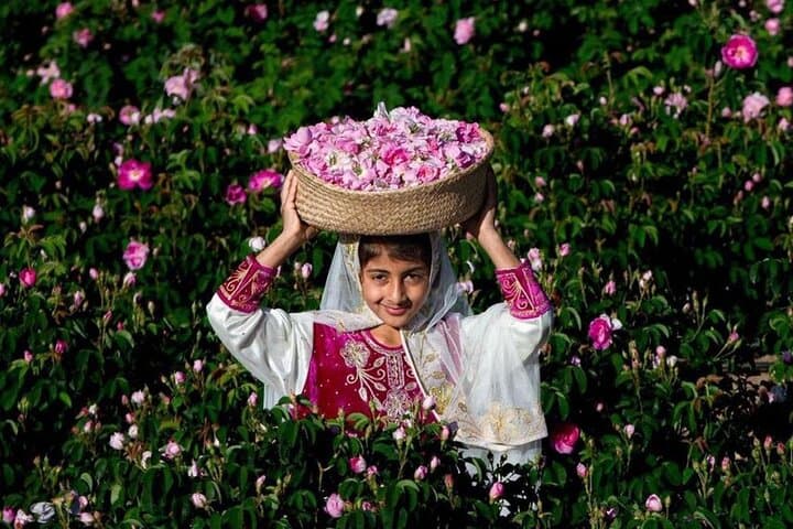 Jabal Al Akhdhar Damascus Roses Tour — Green Mountain Day Trip from Nizwa photo 6