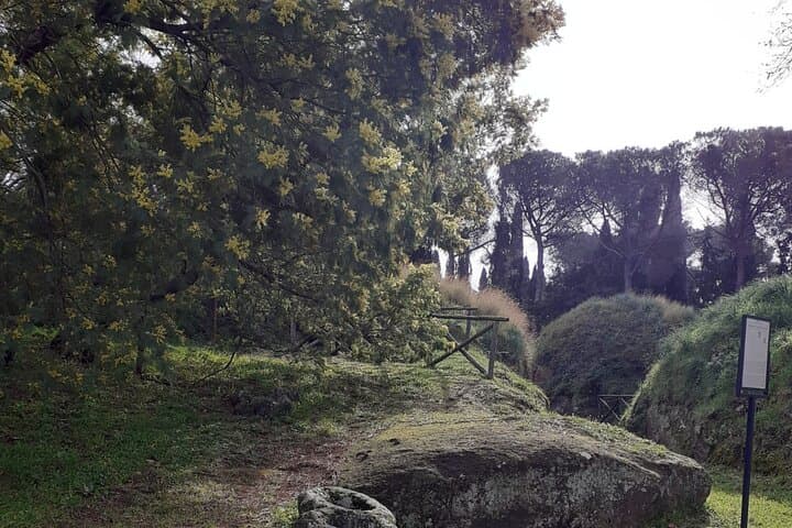 Full-Day Private Tour of Cerveteri Necropolis: Etruscan Banditaccia Experience photo 4