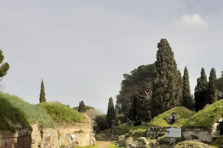 Full-Day Private Tour of Cerveteri Necropolis: Etruscan Banditaccia Experience photo 5