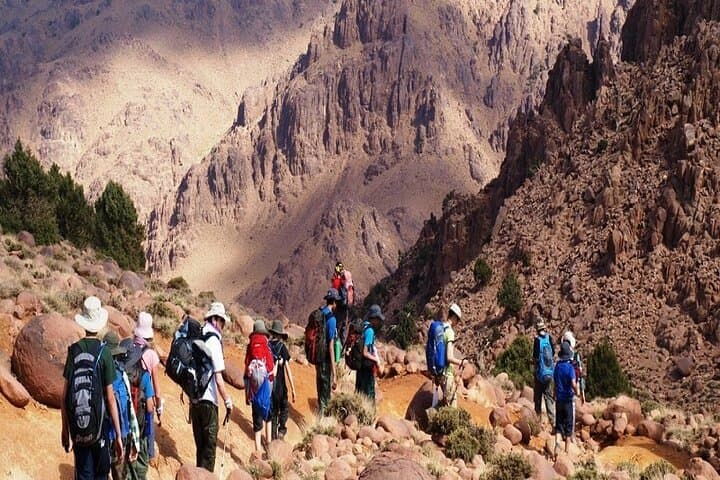 Marrakech to Imlil: Atlas Mountain Day Hike with Berber Village Lunch photo 4