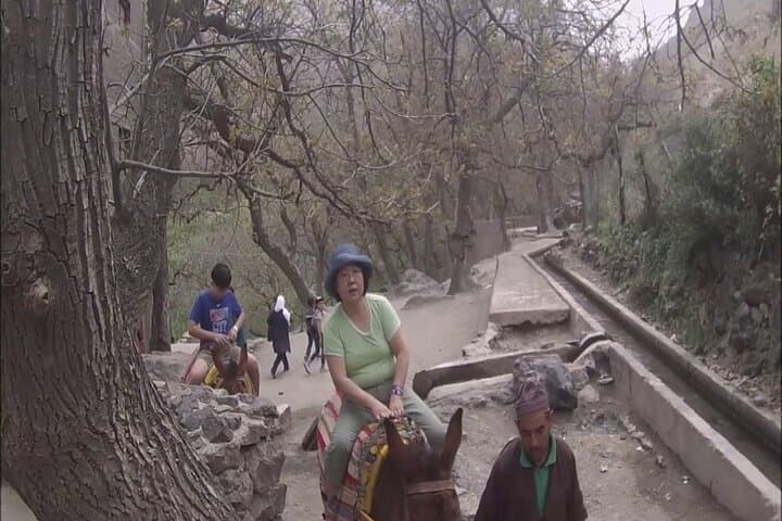 Marrakech to Imlil: Atlas Mountain Day Hike with Berber Village Lunch photo 5