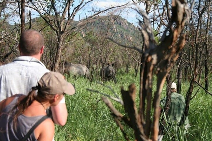 Victoria Falls to Matopos National Park: Rhino Trekking, Balancing Rocks & Khami Ruins