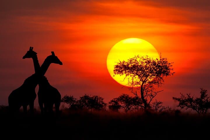 Ndutu Calving Season Safari: 6-Day Private Wildebeest Migration Tour photo 4