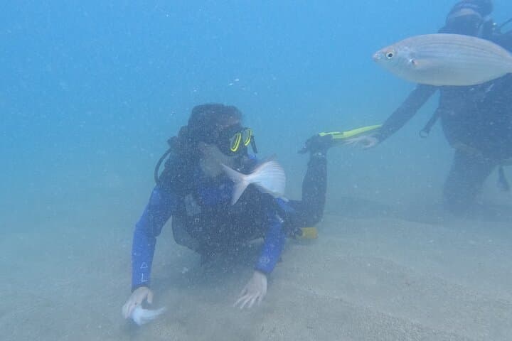Beginner Scuba Diving in Los Cristianos: Try Scuba at Playa Las Vistas photo 2