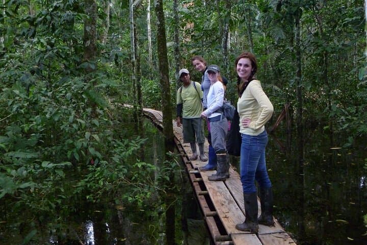 Full-Day Sandoval Lake Wildlife Cruise & Rainforest Hike from Puerto Maldonado photo 1