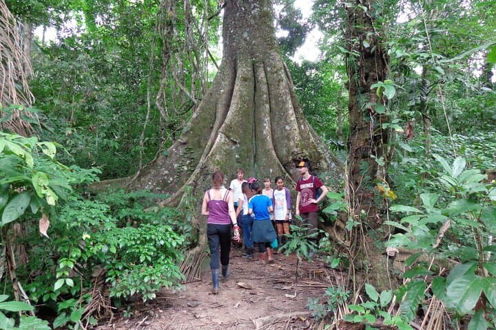 Full-Day Sandoval Lake Wildlife Cruise & Rainforest Hike from Puerto Maldonado photo 4