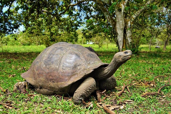 Galapagos Multisport Expedition — 8-Day Island-Hopping Adventure