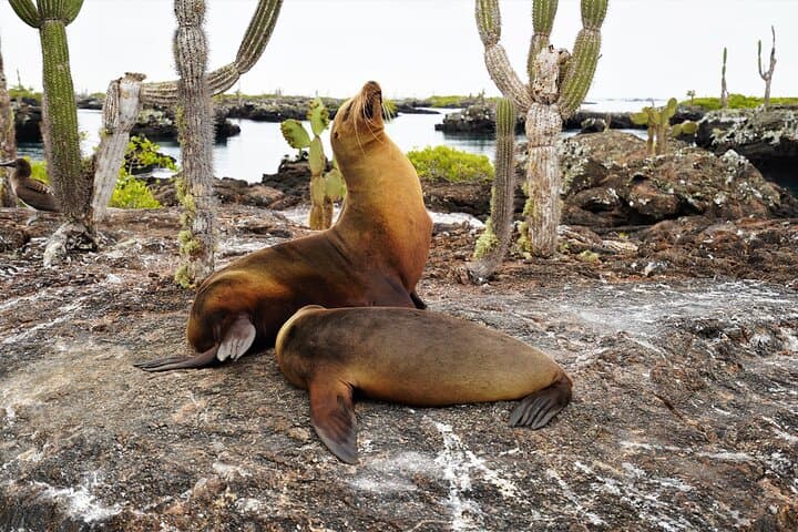 Galapagos Multisport Expedition — 8-Day Island-Hopping Adventure photo 4