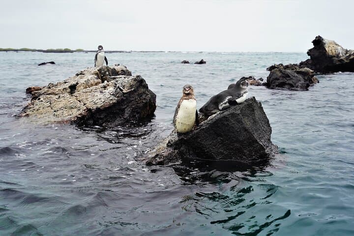 Galapagos Multisport Expedition — 8-Day Island-Hopping Adventure photo 5