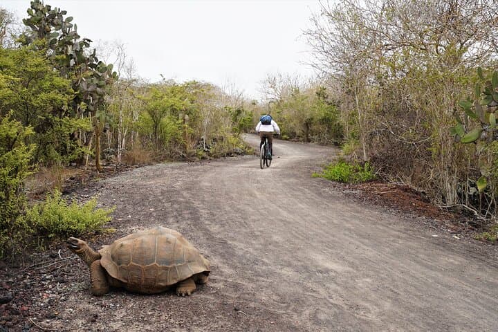 Galapagos Multisport Expedition — 8-Day Island-Hopping Adventure photo 6