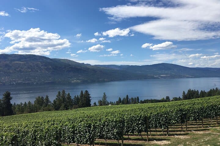 Private Okanagan Pontoon Boat Tour with Lunch in Kelowna