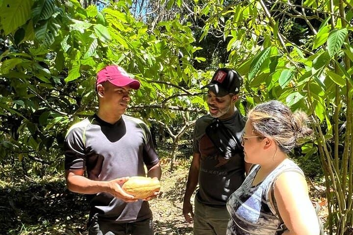 Bribri Magic: Chocolate Making and Waterfall Swim from Puerto Viejo