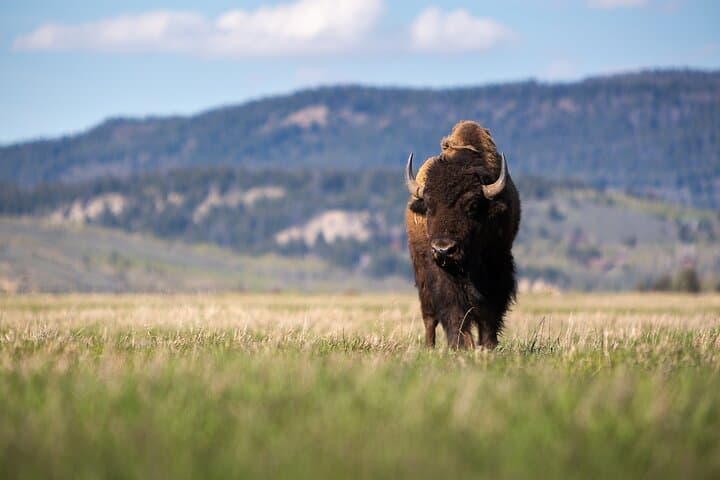Sunrise Photography Workshop in Grand Teton National Park photo 5