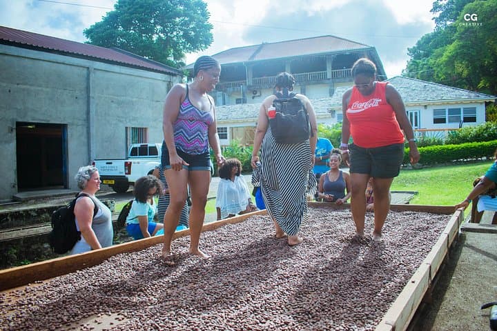 Half-Day Grenada Tour: Grand Etang Forest, Spice Market & Annandale Falls photo 1