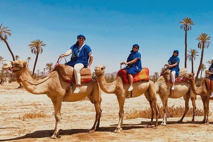 Palmeraie Marrakech Quad-Bike Adventure and Camel Ride with Transfer photo 6