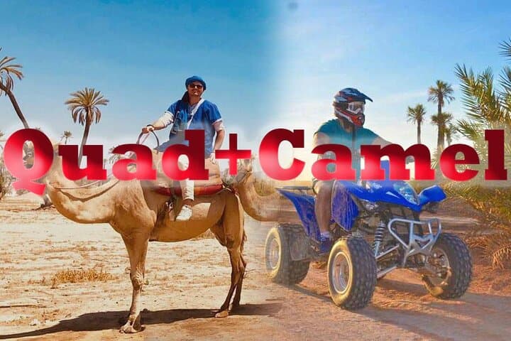Palmeraie Marrakech Quad-Bike Adventure and Camel Ride with Transfer