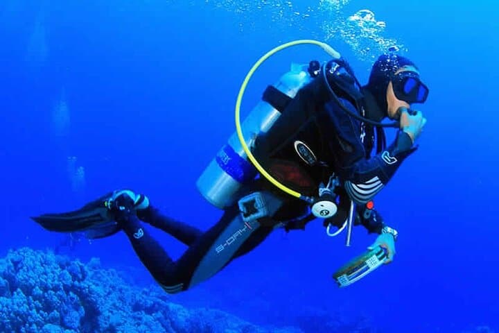 Discover Scuba Diving in Dahab — Introductory PADI Dive Experience photo 2