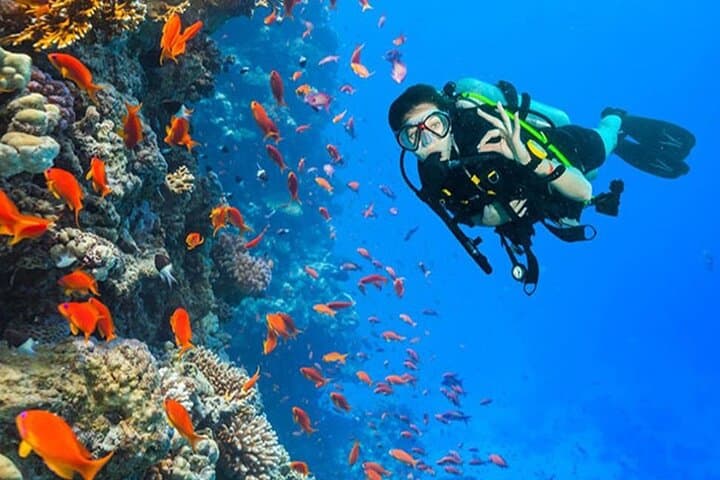 Discover Scuba Diving in Dahab — Introductory PADI Dive Experience