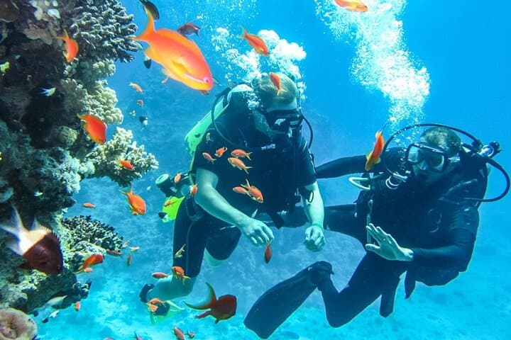 Discover Scuba Diving in Dahab — Introductory PADI Dive Experience photo 5