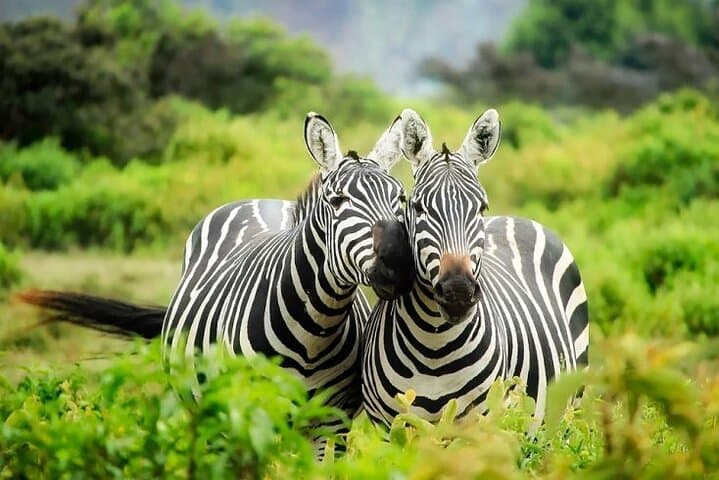 Full-Day Private Tour to Hell's Gate National Park from Nairobi — Cycling, Gorges & Lake Naivasha Boat Ride photo 4