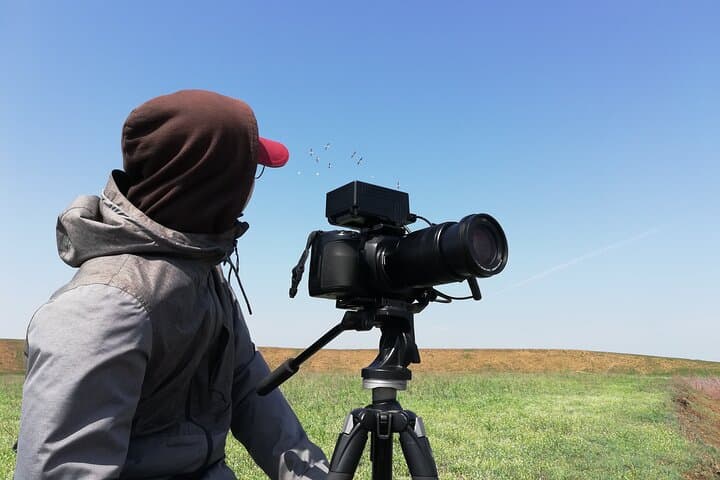 Guided Wildlife Walks on Kos: birdwatching and nature photography tours photo 6