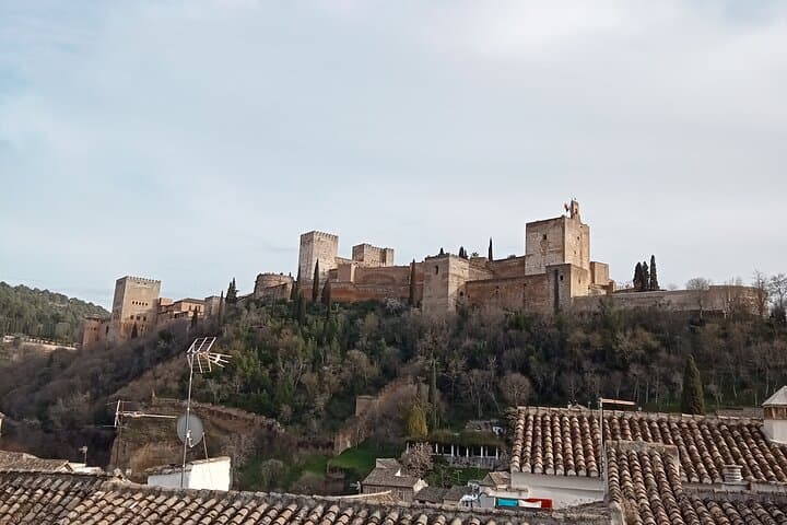 Granada Panoramic Walking Tour: Albaicín Viewpoints, Alhambra Terraces & Bib-Rambla photo 2