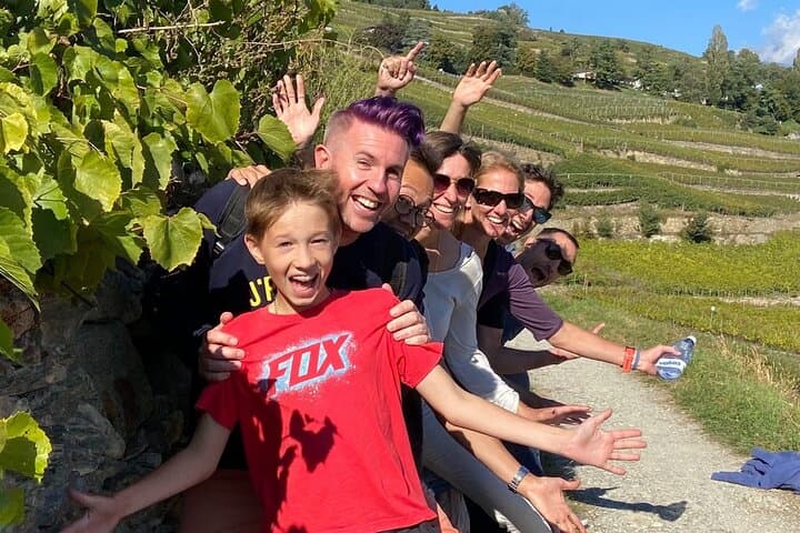 Wine and Dine Vineyard Walk Above Sion: Valais Wine, Cheese & Alpine Views