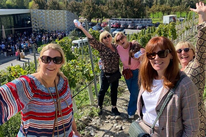 Wine and Dine Vineyard Walk Above Sion: Valais Wine, Cheese & Alpine Views photo 4