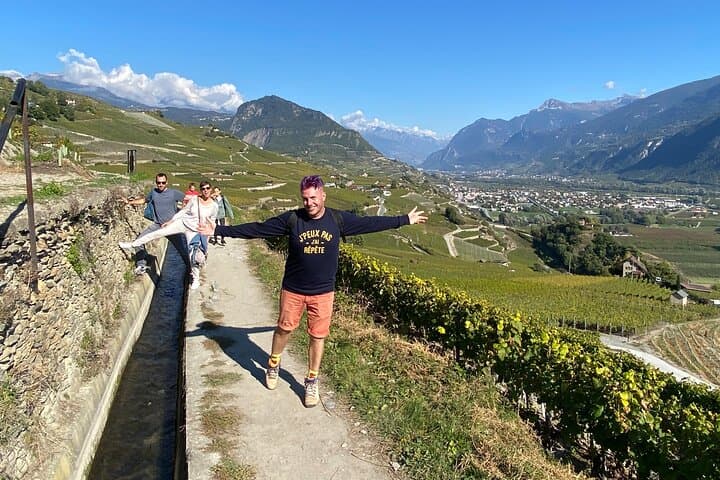 Wine and Dine Vineyard Walk Above Sion: Valais Wine, Cheese & Alpine Views photo 3