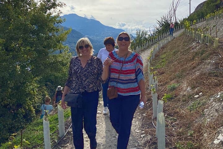 Wine and Dine Vineyard Walk Above Sion: Valais Wine, Cheese & Alpine Views photo 5