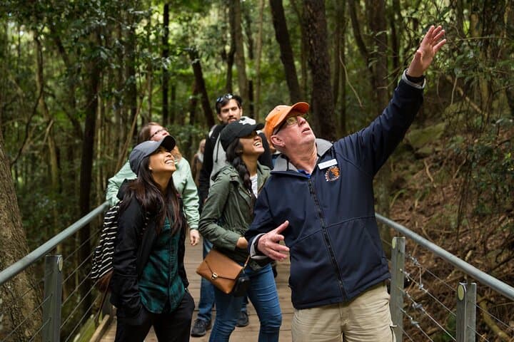 Blue Mountains Scenic World Day Trip from Sydney — Scenic Railway, Koalas & Ferry Return photo 1