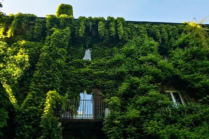Brera Art Thief: Self-Guided Puzzle Quest in Milan photo 3
