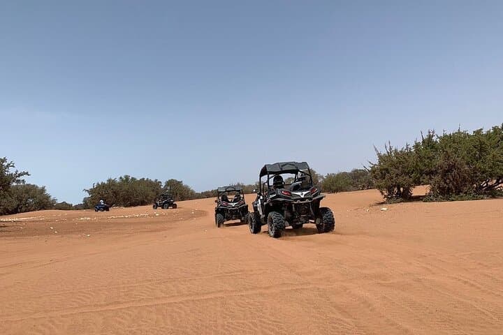 Agadir Buggy Adventure: Half-Day Off-Road Tour to Rock Desert & Palmgrove photo 5