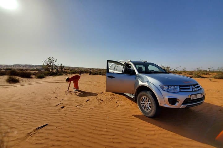 Agadir to Souss Massa & Mini Sahara: Wild Coast, Dunes and Birdlife Day Trip photo 1