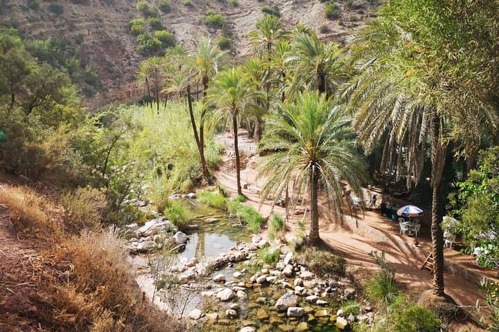 Paradise Valley Half-Day: Natural Pools, Argan Cooperatives & Atlas Foothill Views photo 3