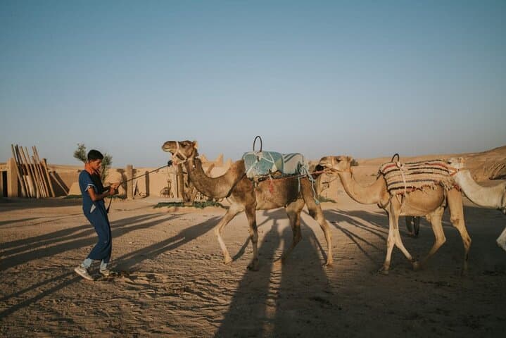Agafay Desert Half-Day: Camel Ride, Quad Biking & Nomad Dinner from Marrakech photo 5