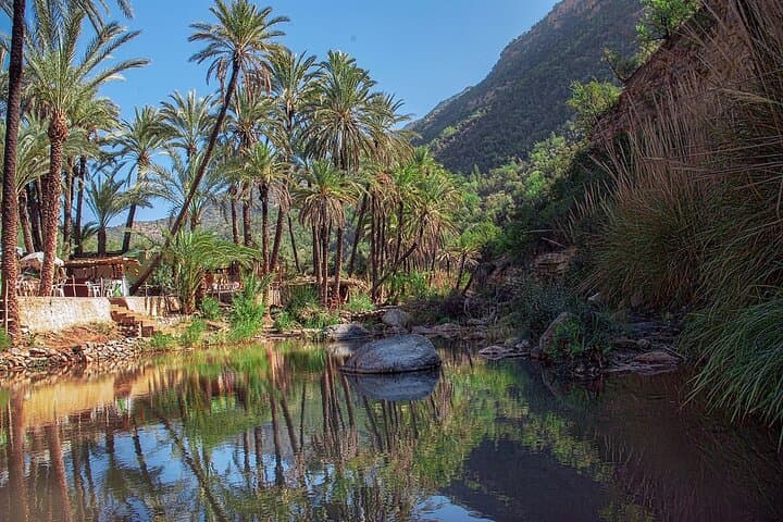 Paradise Valley Half-Day: Natural Pools, Argan Cooperatives & Atlas Foothill Views photo 6