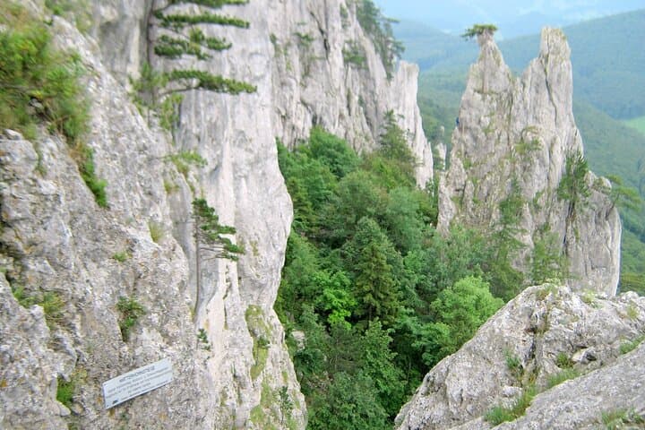 Beginner Via Ferrata in Vienna: Half-Day City-Edge Climb photo 3
