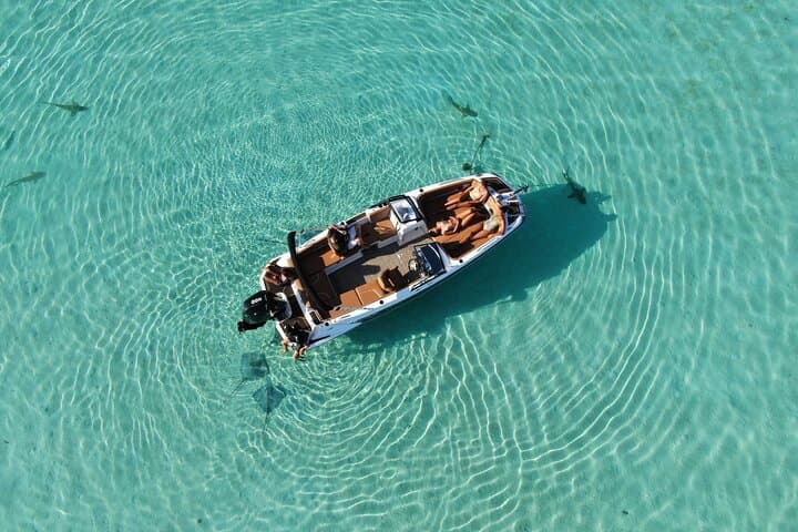 Moorea Private Day Trip: Hike the Ancestors’ Trail and Motu Boat Lunch with Snorkeling photo 5