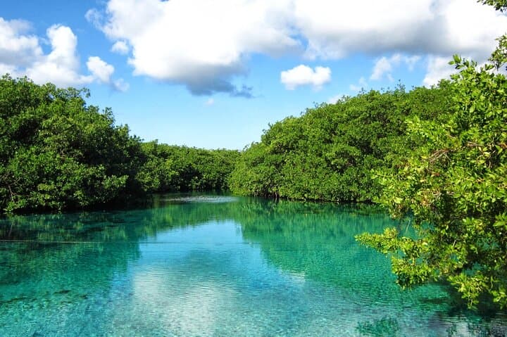 Reef and Cenote Snorkeling Experience in Tulum — Mesoamerican Reef & Mangrove Cenote Tour photo 2
