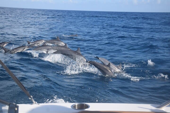 Moorea Private Day Trip: Hike the Ancestors’ Trail and Motu Boat Lunch with Snorkeling photo 6
