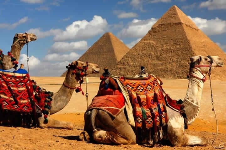 Fast-Track Cairo & Luxor: 2-Day Flight Tour from Sharm el Sheikh photo 4