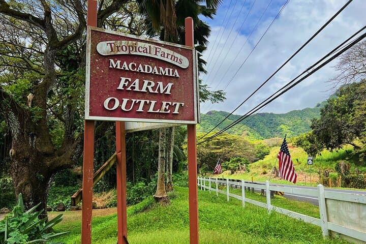 Oahu North Shore and Waikiki Small-Group Island Experience photo 5