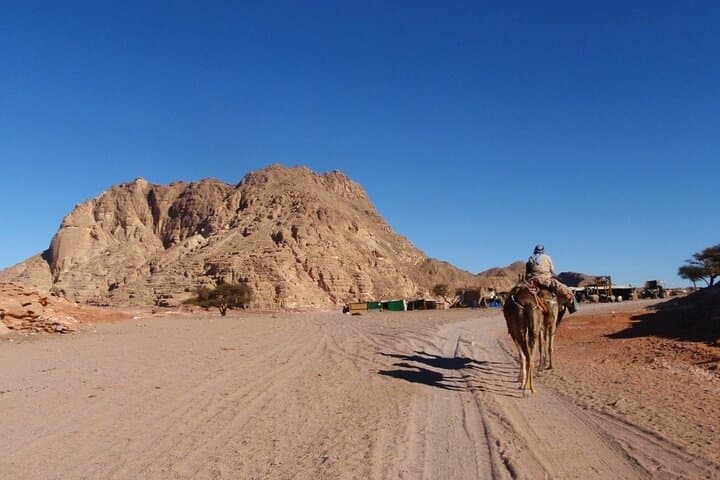 Sinai Camel Safari: 3-Day Dahab Desert & Oasis Trek photo 6