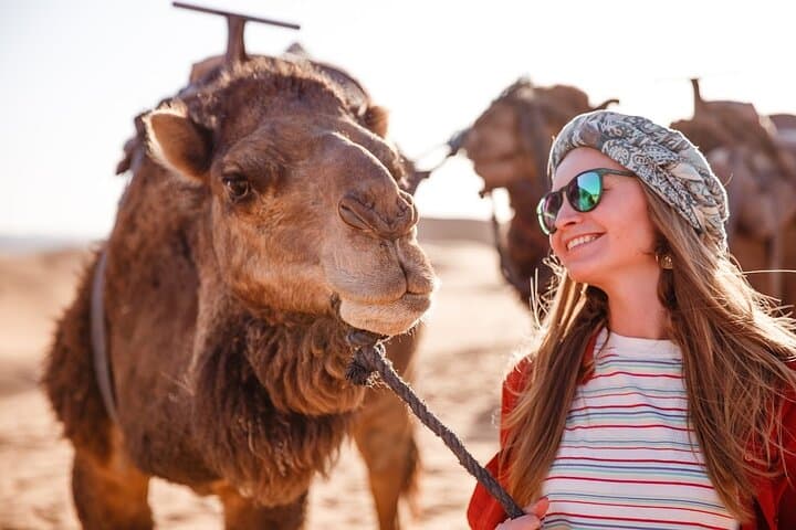 Private Agafay Desert Sunset Tour Near Marrakech — Camel Ride, Dinner & Nomad Tents photo 4