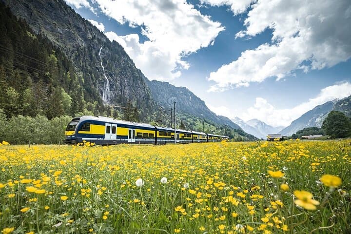 Grindelwald First: Top of Adventure Day Trip from Lucerne photo 2