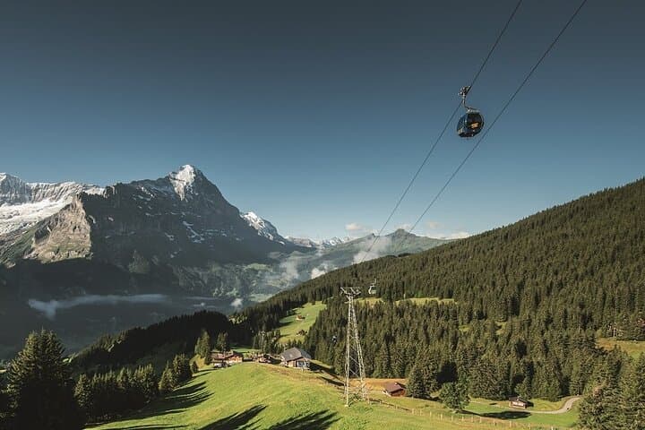 Grindelwald First: Top of Adventure Day Trip from Lucerne photo 3