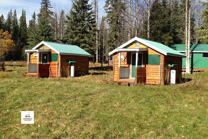 4-Day West Range Cabin Horsepacking in the Alberta Rockies: Ride, Cabins & High-Country Views
