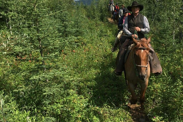 4-Day West Range Cabin Horsepacking in the Alberta Rockies: Ride, Cabins & High-Country Views photo 3