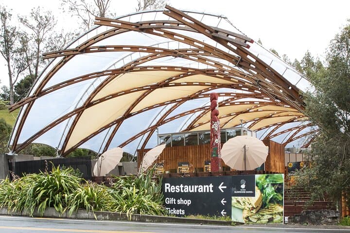 Rotorua to Auckland Transfer with Waitomo Glow Worms — Afternoon Cave Boat Tour photo 4